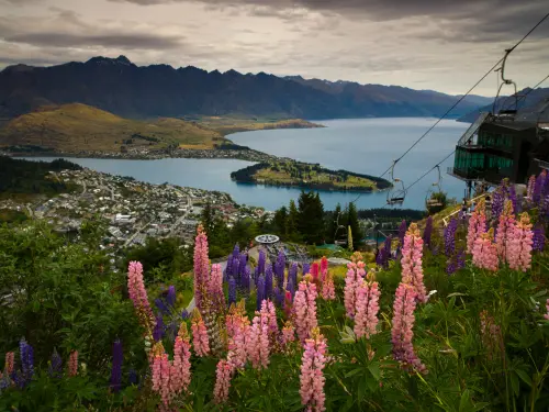 Golden Aotearoa