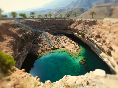 OMAN: DOLPHINS & DUNES